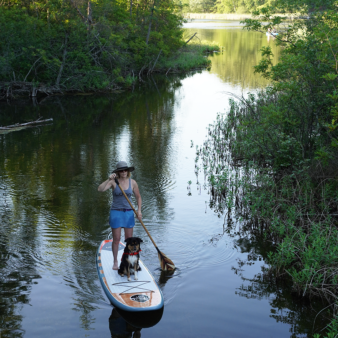 Standard Blue All-Around Paddle Board