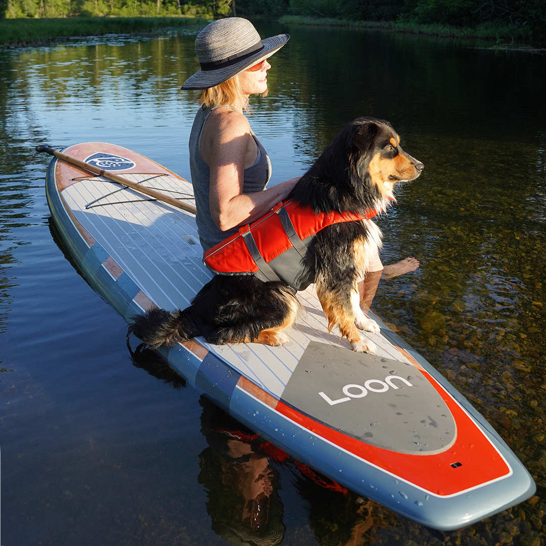 Standard Blue All-Around Paddle Board